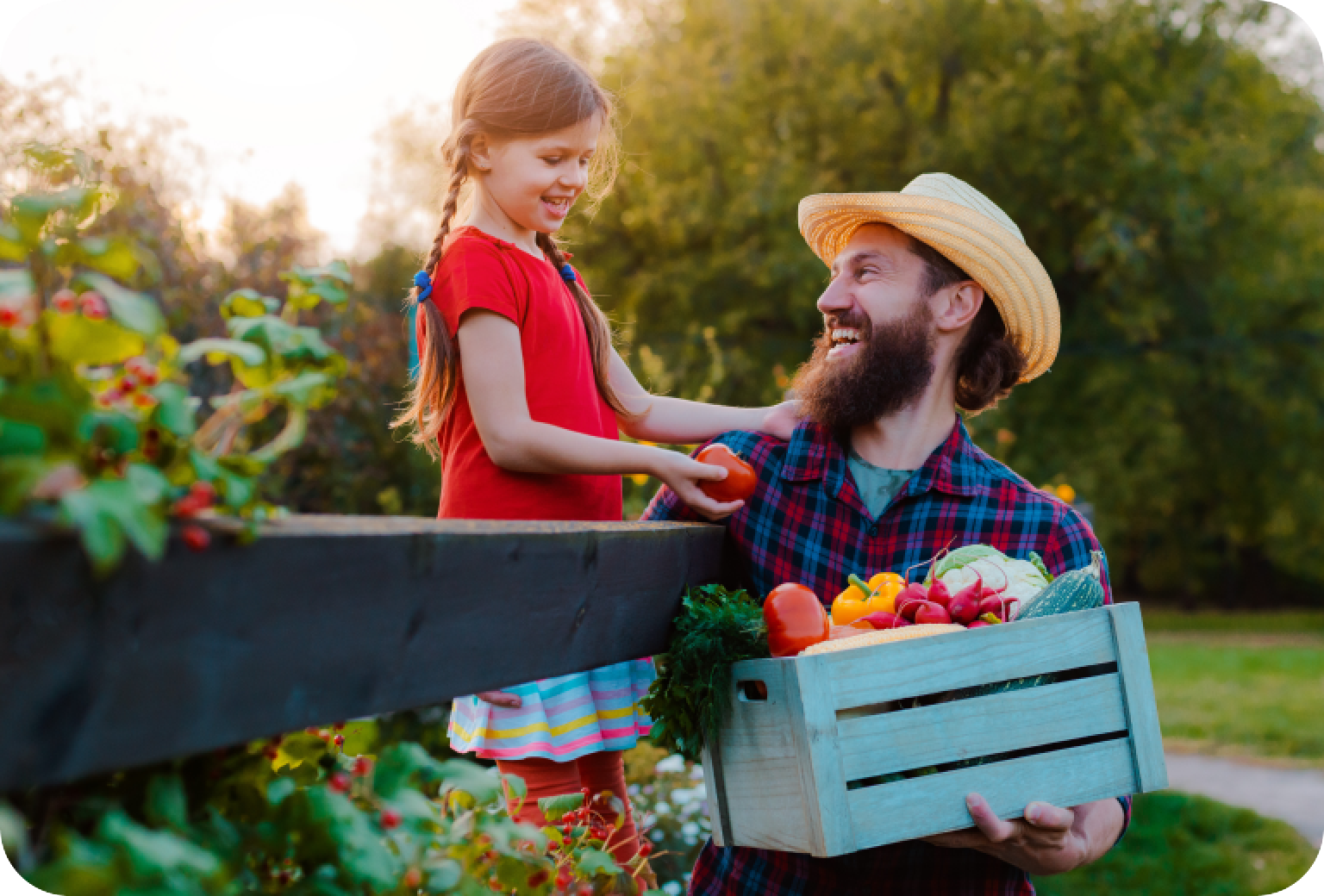 From Farm to Table: Understanding the Journey of Fresh Organic Produce